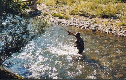 Reiner f�ngt eigentlich �berall etwas...