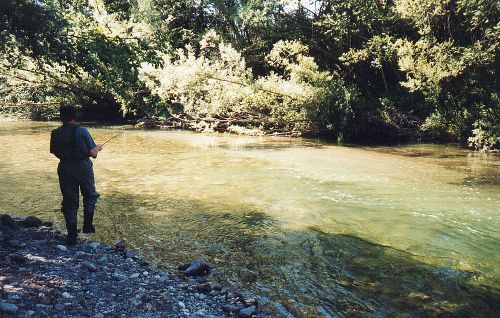 Manfred muss zwar der Forelle hinterherwaten,