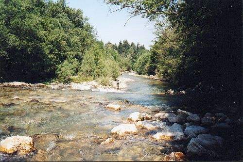 Die Vellach im Abschnitt Sittersdorf 1