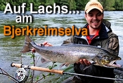 Auf Lachs am Bjerkreimselva