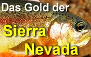 Das Gold der Sierra Nevada