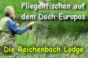 Die Reichenbach Lodge