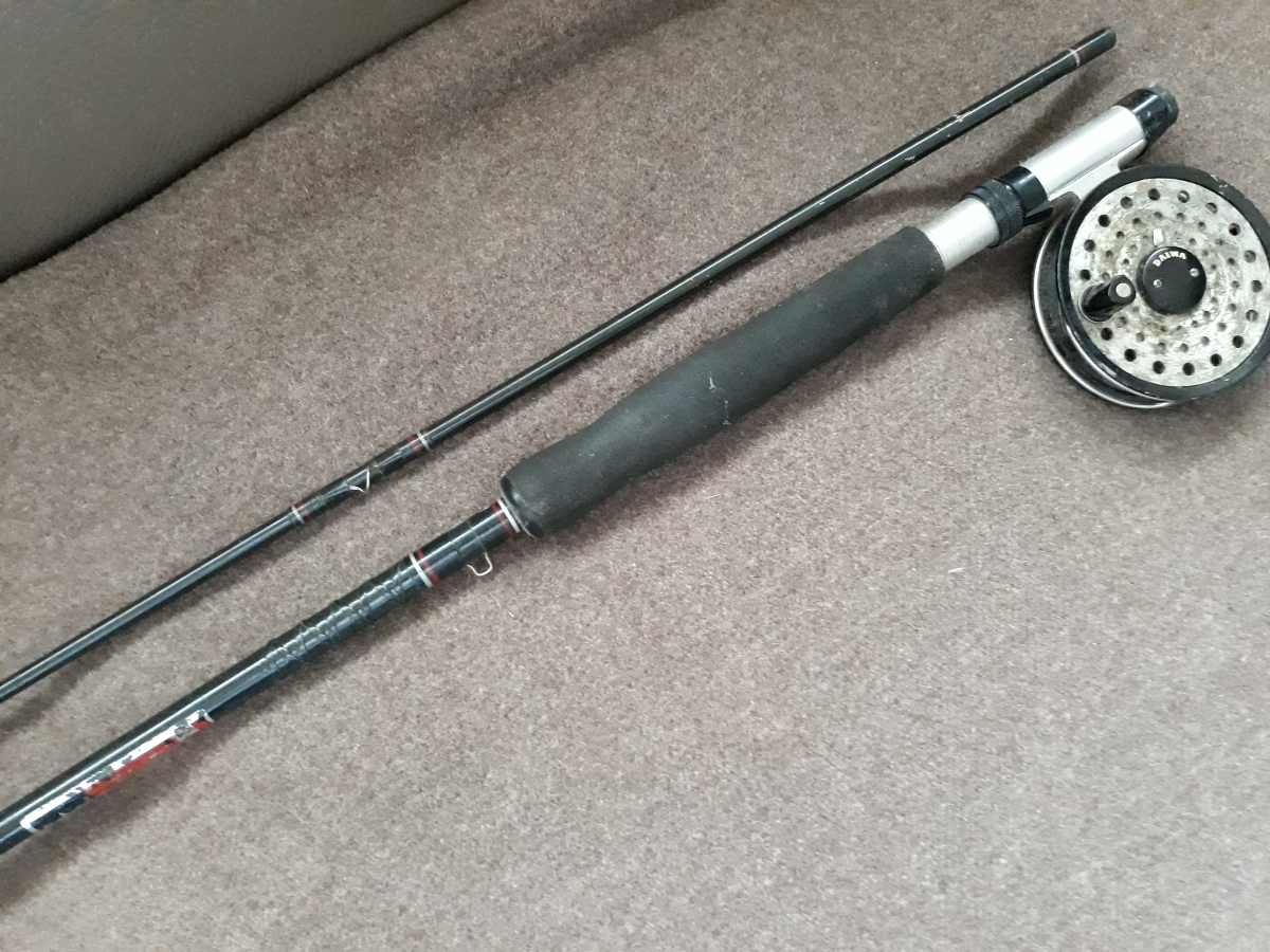 DAM Fliegenrute mit Daiwa.jpg