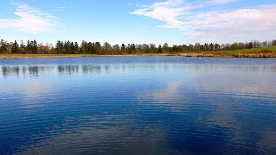 Kopie von IMG_3595.JPG