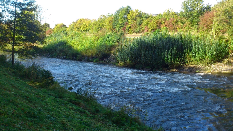DSC_0118.jpg