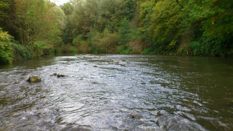 DSC_0128.jpg