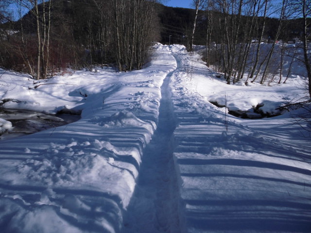 CIMG0550.JPG
