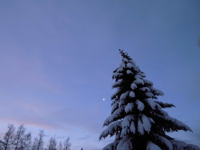 CIMG0729 – Kopi (2).JPG