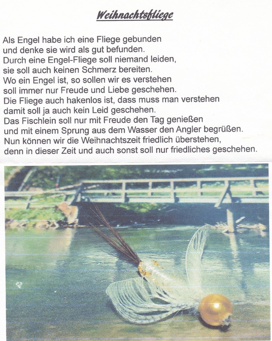 w_fliege_hans1.jpg