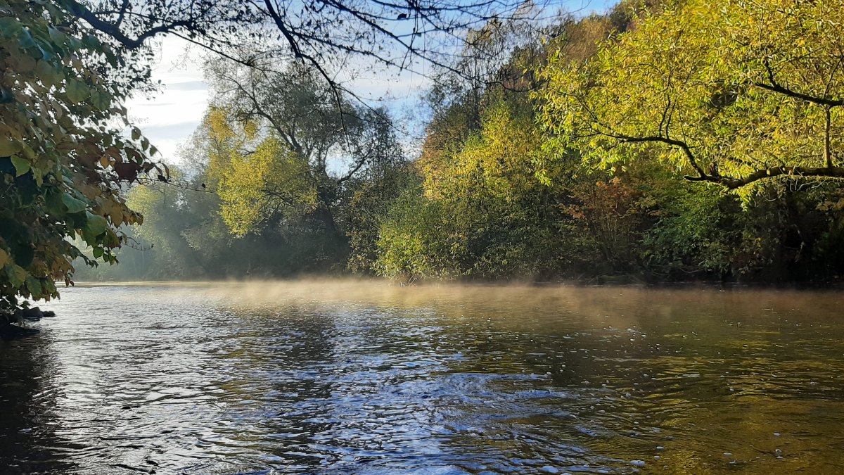 Herbst Zw.Mulde.jpg