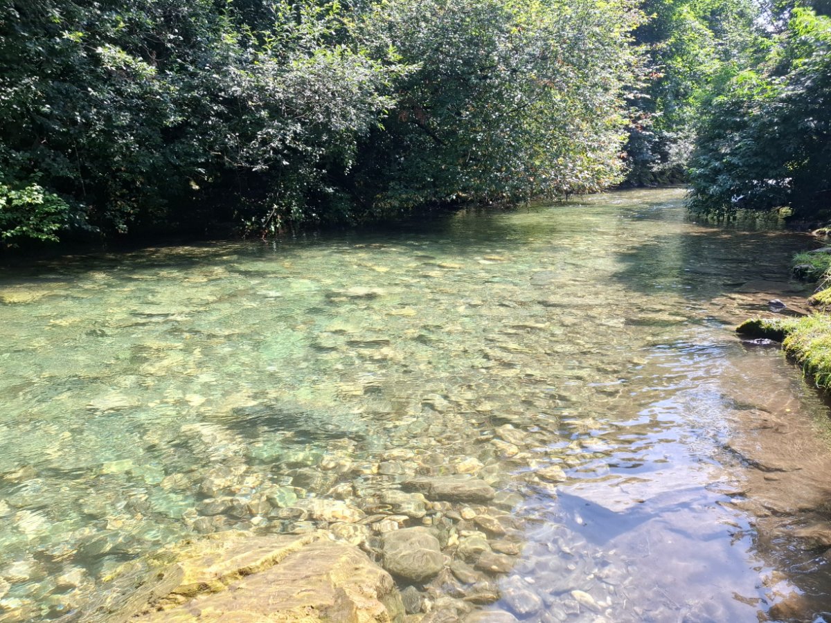 20260802_120407.jpg