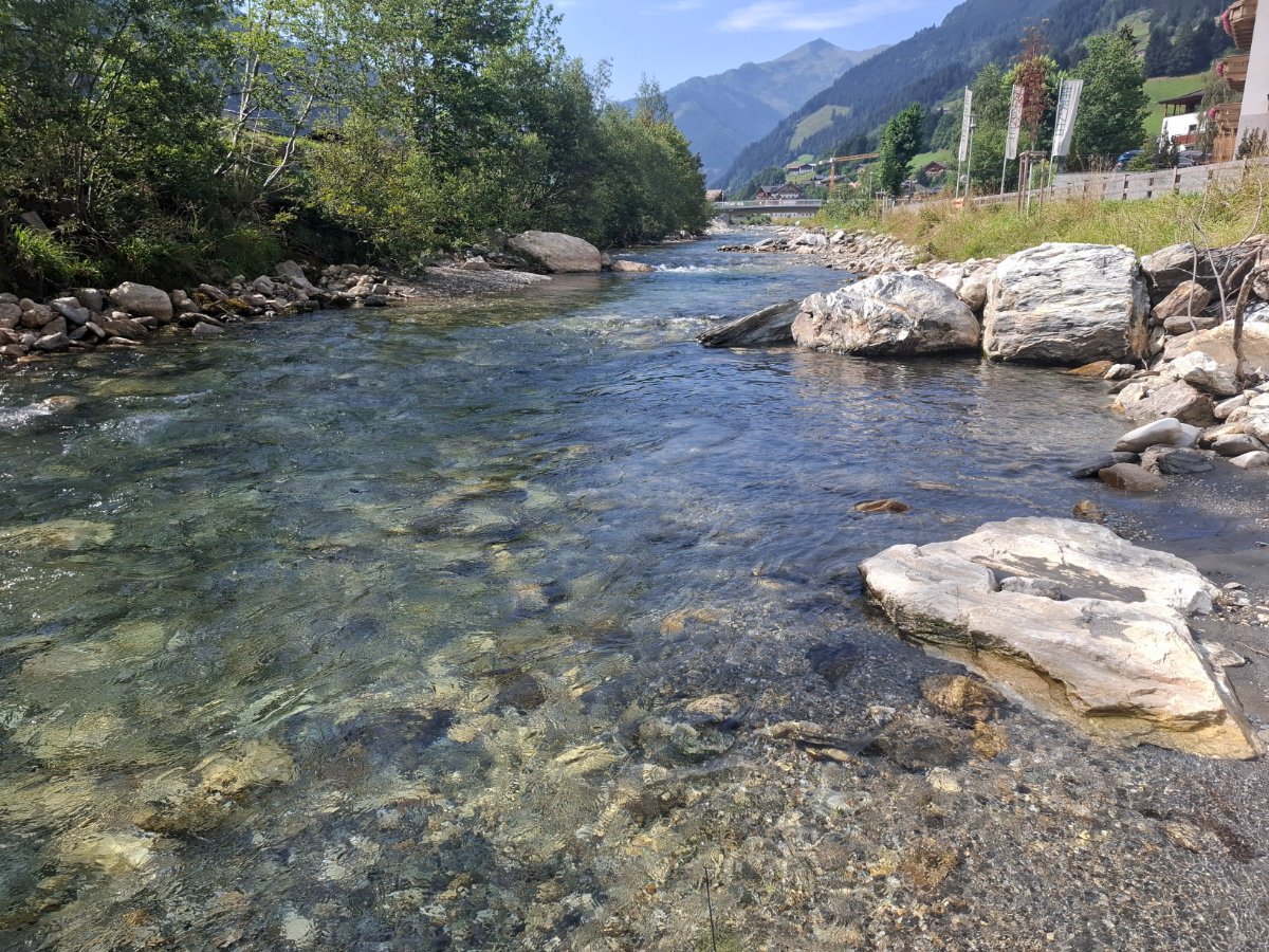 20260803_102512.jpg