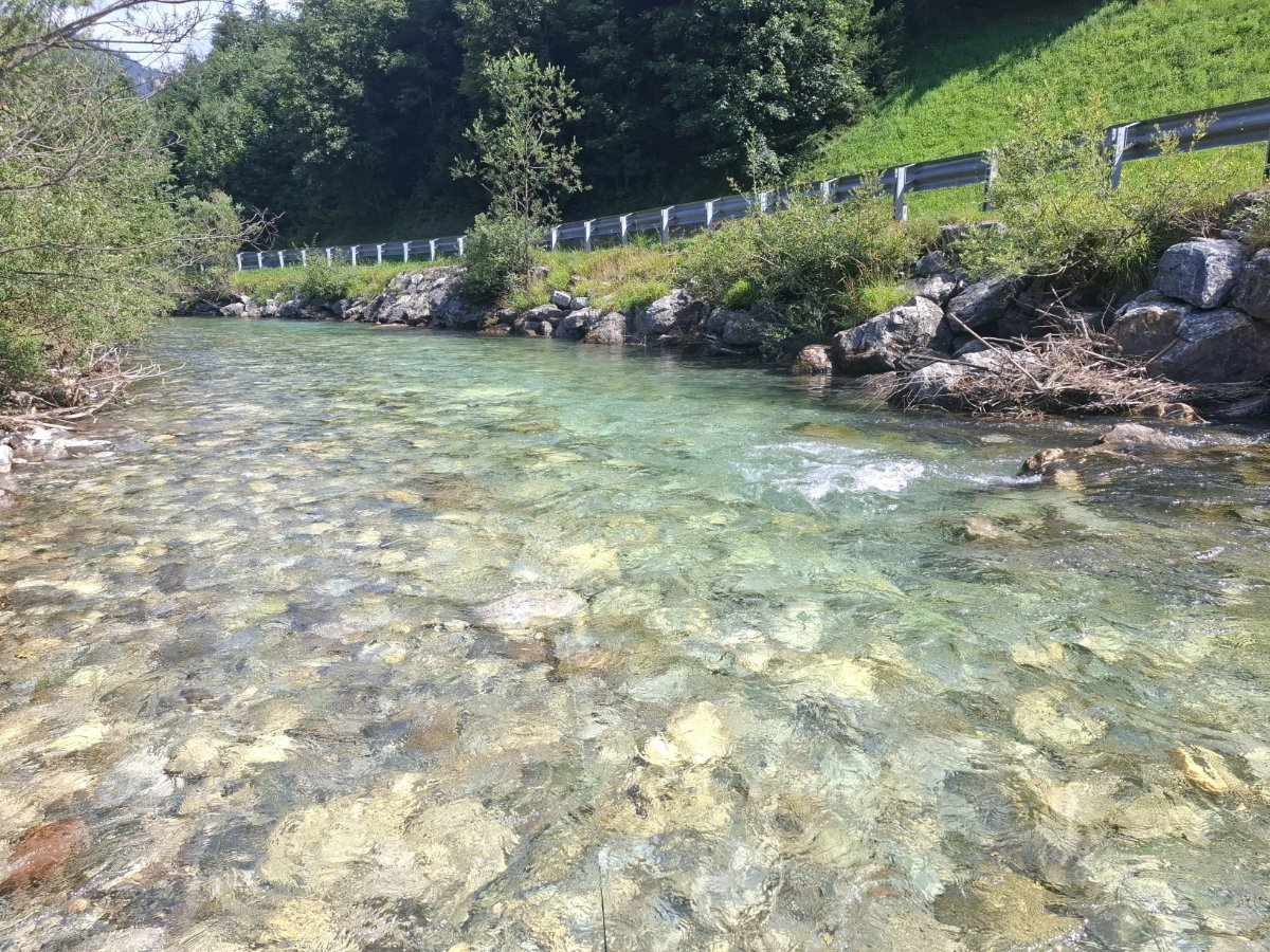 20260803_110117.jpg