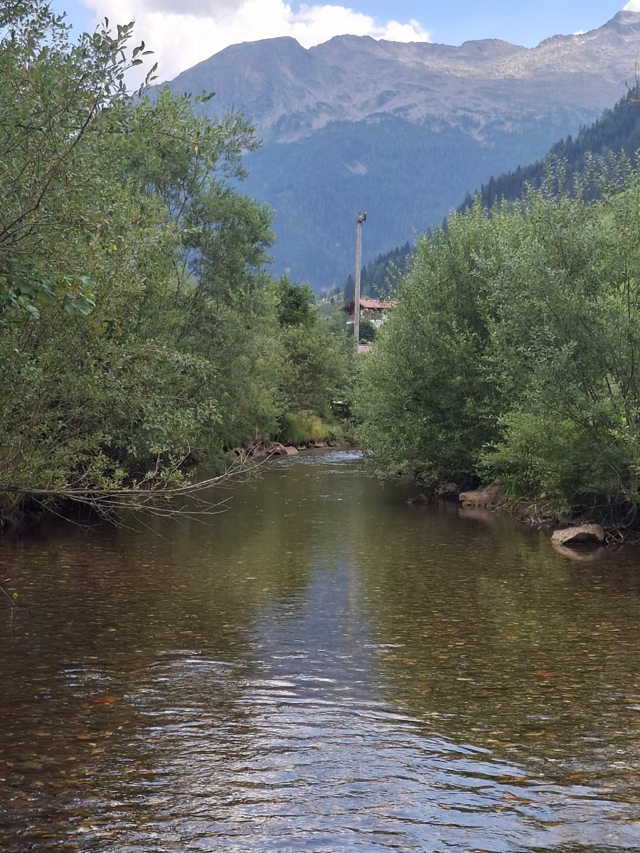 20260803_145217.jpg
