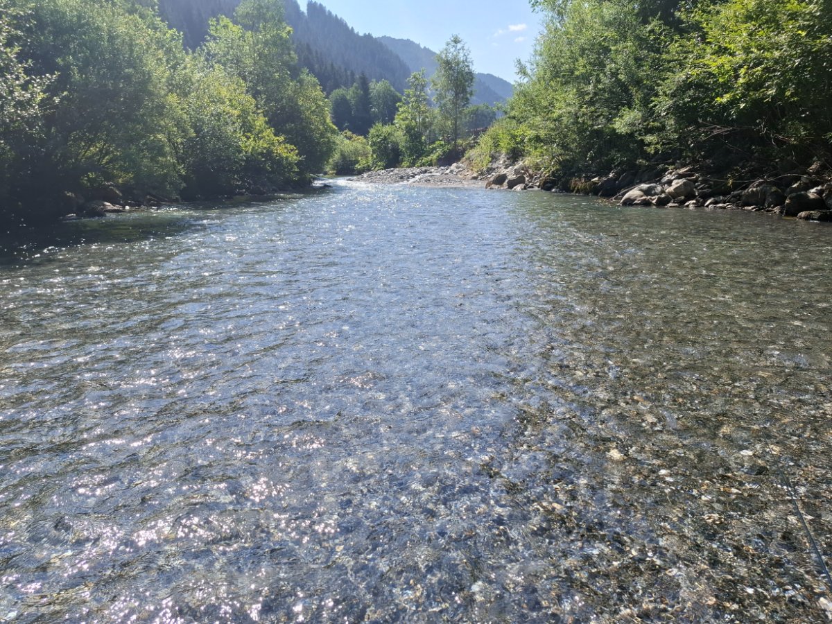 20260803_112622.jpg
