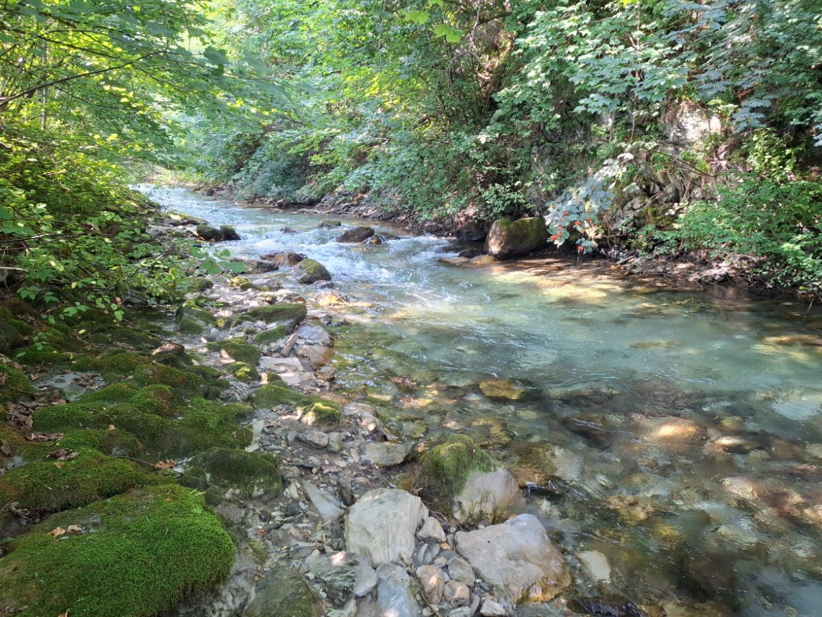 20260806_093029.jpg