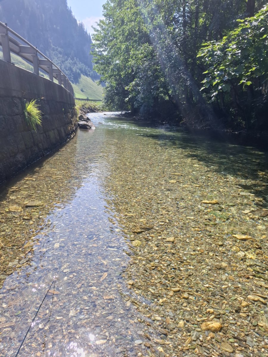 20260806_112413.jpg