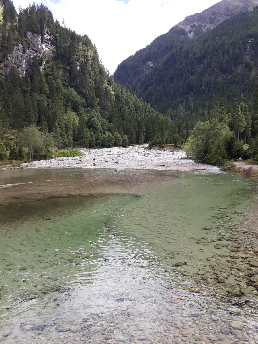 IMG-20250731-WA0104.jpg