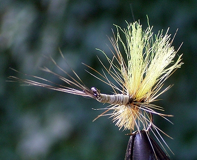 reversed dry 01.jpg