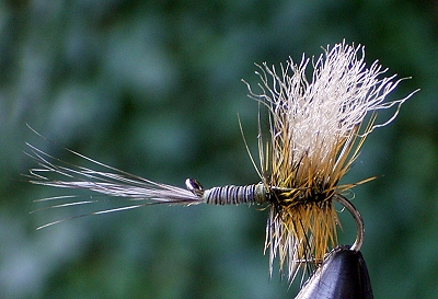 reversed dry 02.jpg