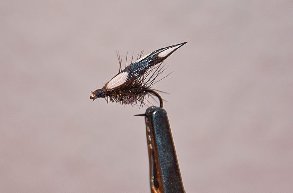 _MG_0079.jpg