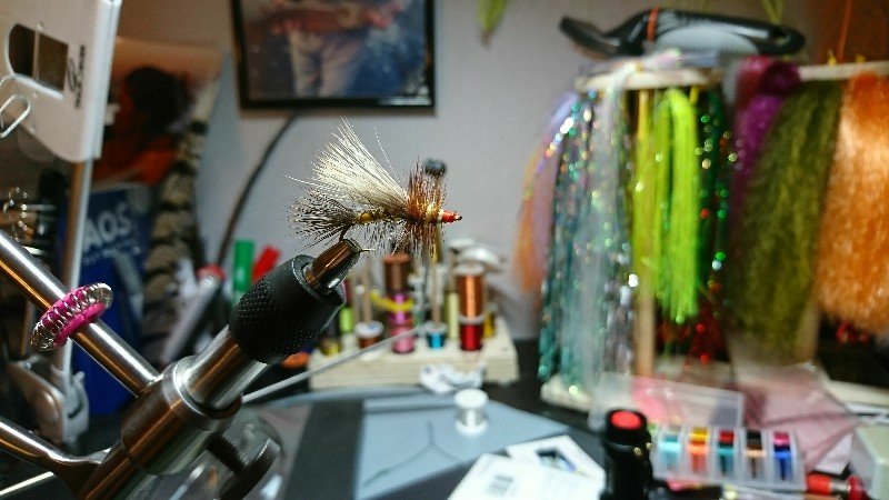 IMG-20170706-WA0002-800x450.jpeg