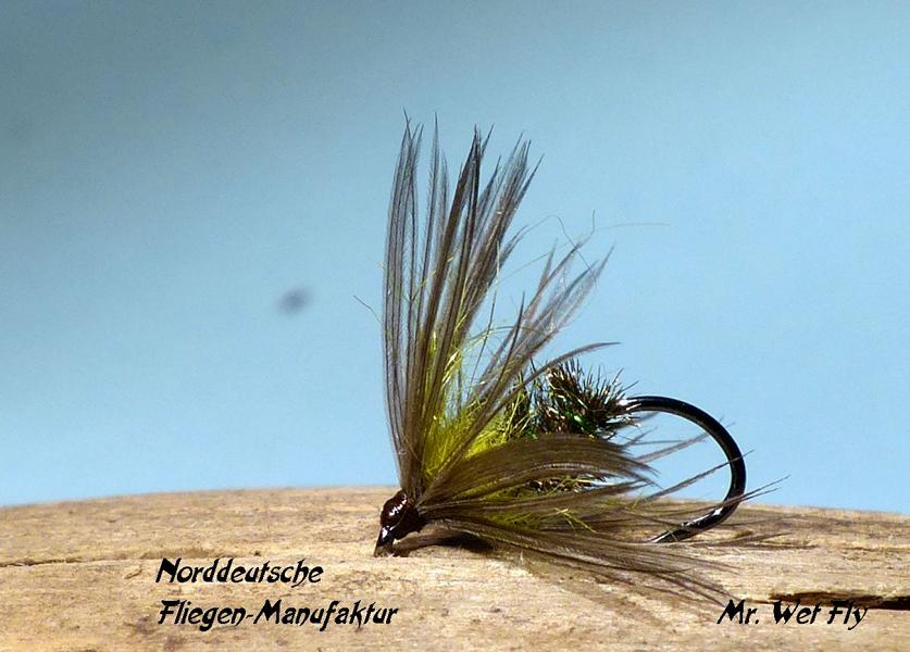 Wet Fly Variationen 0651.JPG