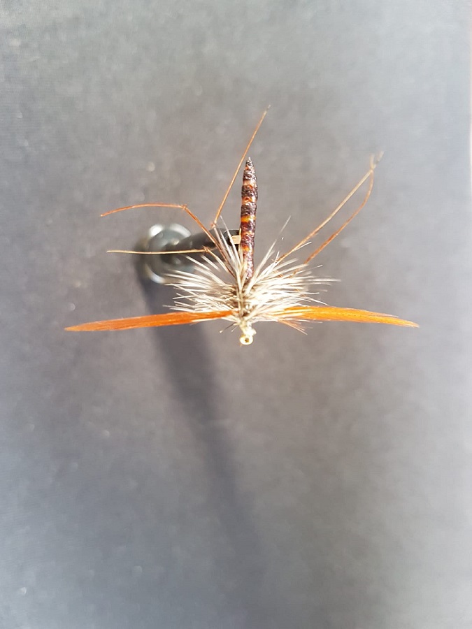 Schnake 01052019.jpg