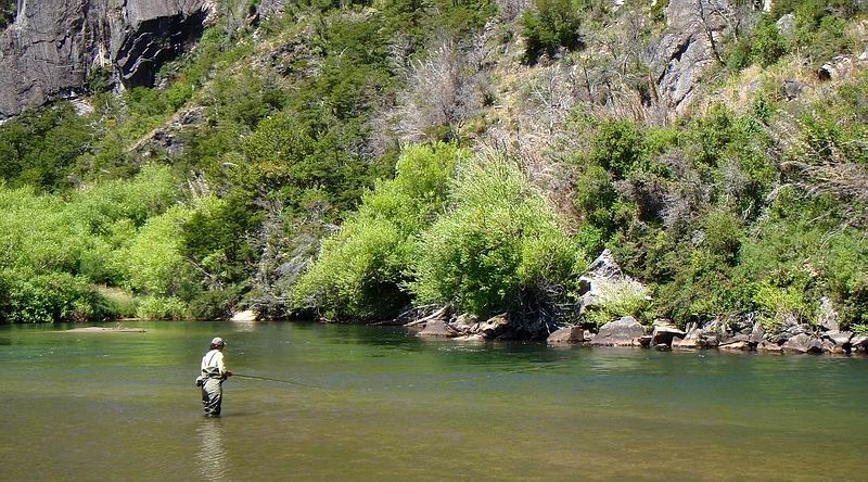 Fliegenfischer Forum Reisebericht Patagonien, Rio Corcovado Rio Pico