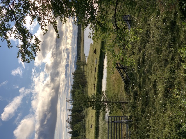 E2732557-0DA1-46D0-BE56-5C4DC7B09156.jpeg