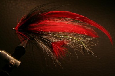 Streamer 011.JPG (53.17 KiB) 8281 mal betrachtet Bucktail, Marabu, Hahnenkammfedern, Kristal Flash, Pfauengras