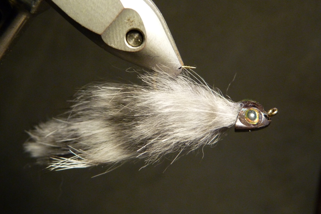 Waggygrimpe Gr 8.JPG