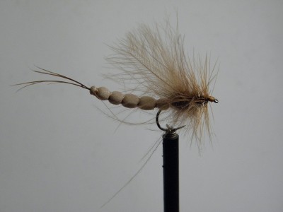 Erster Versuch Maifliege