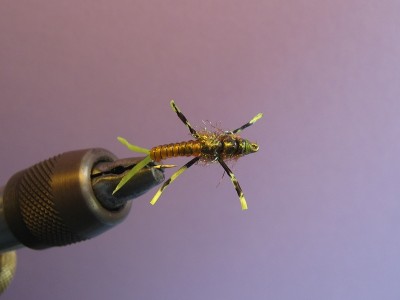 IMG_6016.JPG (100.68 KiB) 3514 mal betrachtet Yellow Stony #12