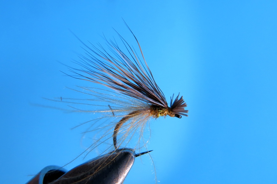 Kopie von IMG_4257.JPG