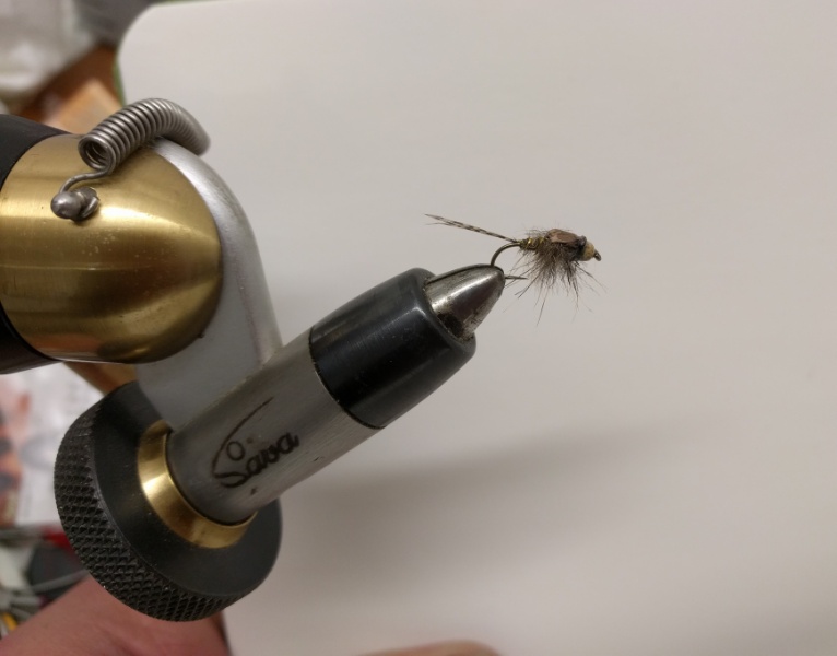 Hasenohrnymphe mit Jaspiskopf