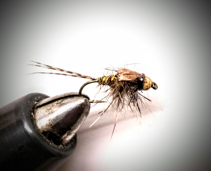 Einfache &quot;Hares Ear&quot; mit etwas Eichhörnchen für die Beinchen