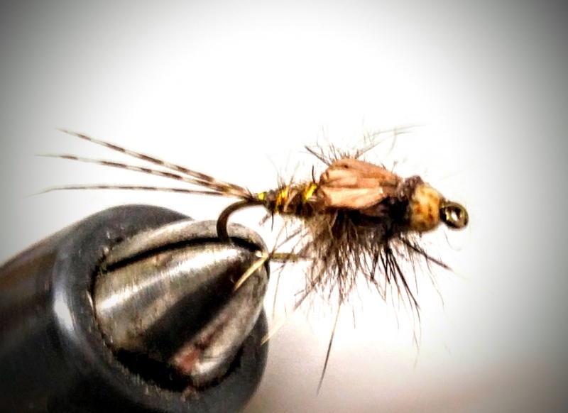 Hier noch mal der Jaspiskopf...