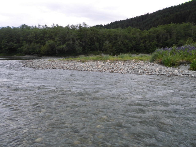 CIMG0389.JPG