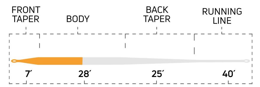 LongBellyDistance_Orange_TroutSeries_TaperChart.jpg