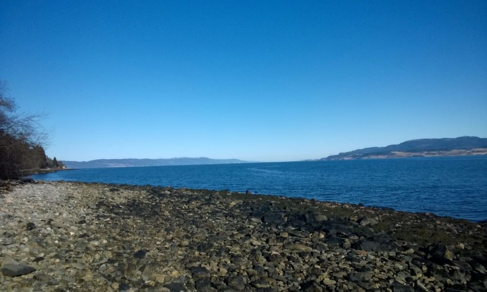 WP_20150315_010.jpg