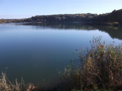 DSCF7100 (Small).JPG