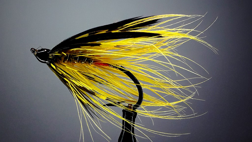 Yellow Spey Steelhead Pattern. #6~1.jpg