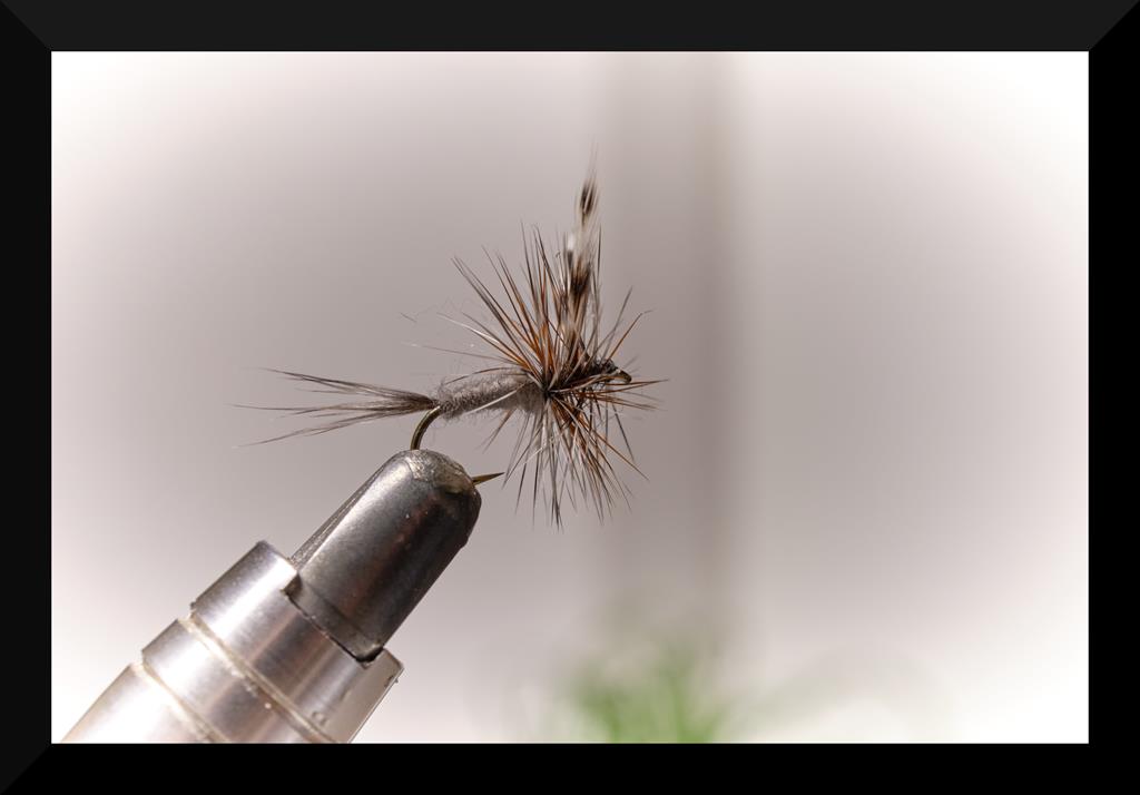 dry flys (Copy).jpg