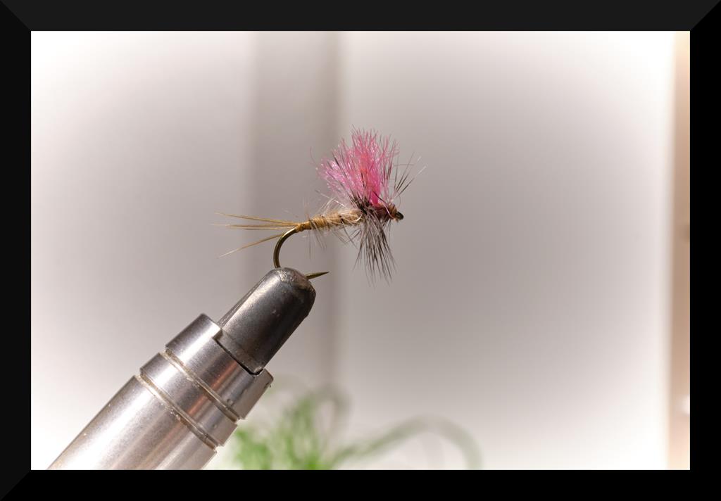 dry flys 3 (Copy).jpg