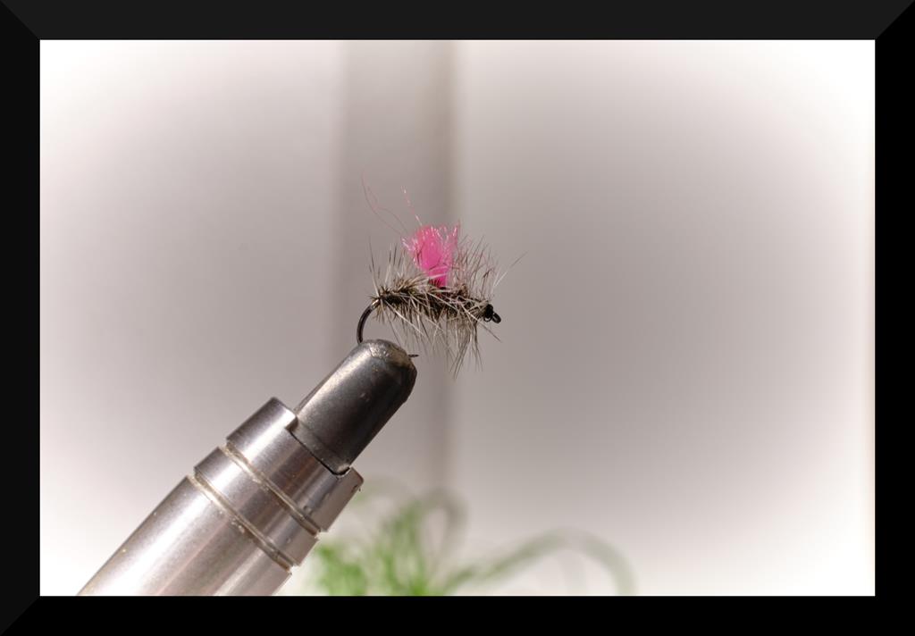 dry flys 1 (Copy).jpg