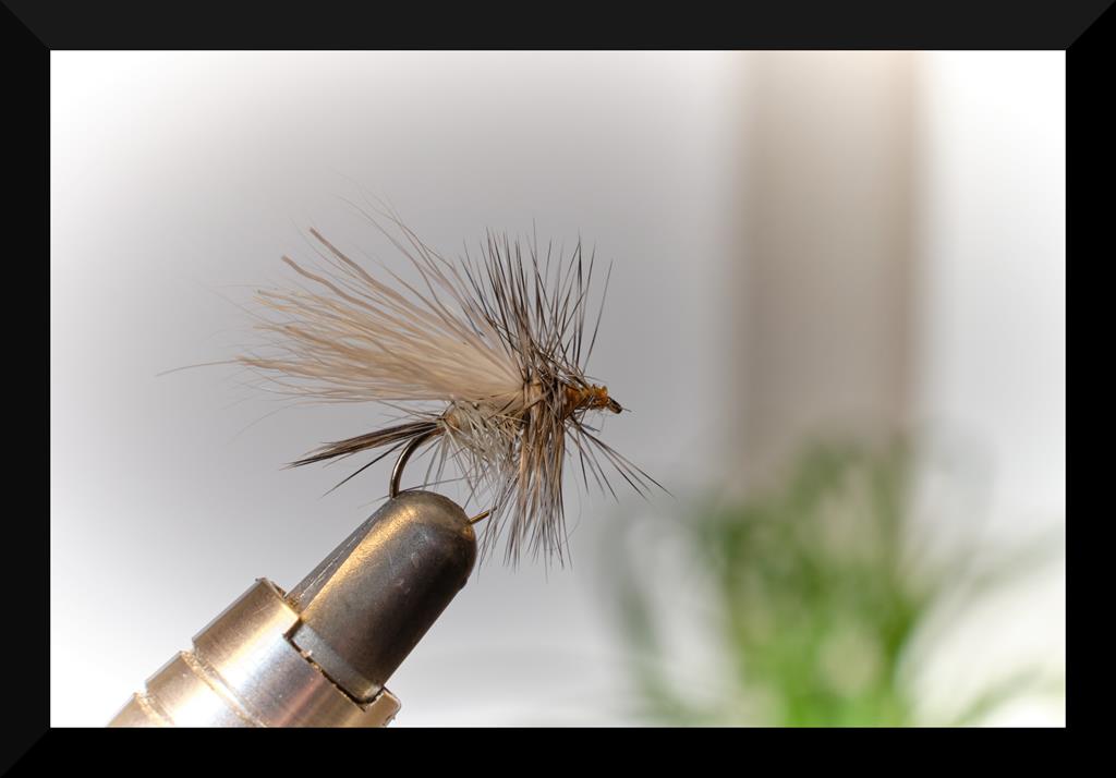 dry flys 9 (Copy).jpg