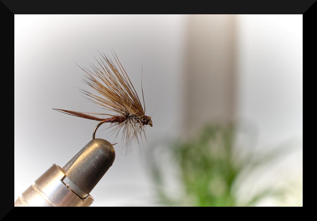 dry flys 11 (Copy).jpg