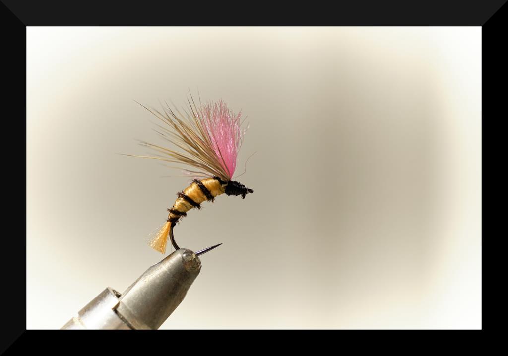 HiVis Palaretta Emerger (Copy).jpg