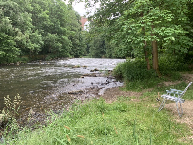 Mittelgebirgsfluss, in dem Abschnitt mit frischen kühlem Talsperrenwasser gespeißt